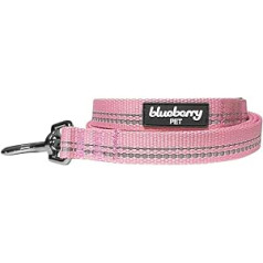 Blueberry Pet 3M Reflective and Adjustable Dog Collar, Class, Plain, Matching Lead Available Separately