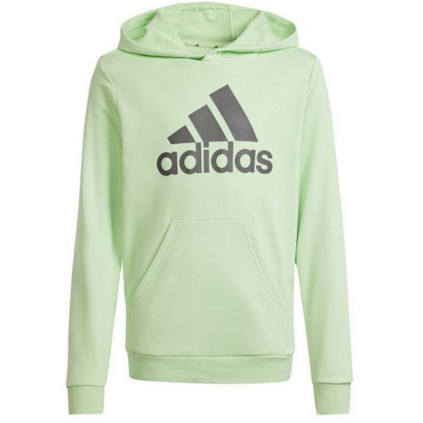 Adidas Big Logo Hoodie Jr IS2591 sporta krekls / 140 cm