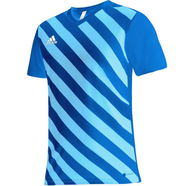 Adidas Entrada 22 Graphic Jersey M HF0116 / XXXL