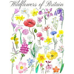 Savvaļas ziedi Lielbritānijā akvareļu druka — mājdzīvnieku dabas drukas karte ar roku zīmēta identifikācijas diagramma — savvaļas dabas karte (A4 bez rāmja)