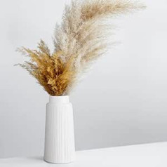 Ceramic Vase White - Flower Vase for Pampas Grass Flowers, Decorative Vase 25 cm High, Ribbed Aesthetic Vases White for Decoration Home Dining Room Living Room Apartment