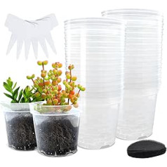 BTPLASTIK 10 cm caurspīdīgs Pflanzentöpfe, caurspīdīgs Kunststoff, 30P ar auslaufsicheren Sieb-Mesh-Pads