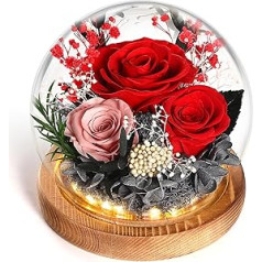 WYRIAZA Eternal Rose Glass Infinity Glass Rose Preserved Real Infinite Durable Red Flower Light LED Eternal Gifts Women Mum Wife Girlfriend Wife Christmas Valentine's Day Birthday Anniversary