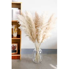 pampas grass xxl