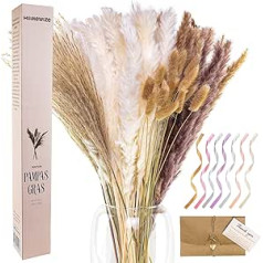 Homewize Natural Pampas Grass Large — 90 komplekts ar trušu astēm un niedru zāli — 65 cm gari kāti garajām vāzēm un pušķu apgriešanai — pampas zāles dekorēšana