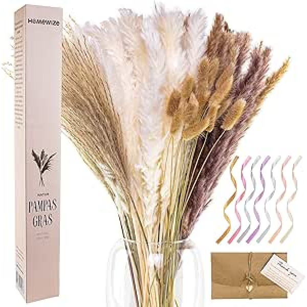 Homewize Natural Pampas Grass Large — 90 komplekts ar trušu astēm un niedru zāli — 65 cm gari kāti garajām vāzēm un pušķu apgriešanai — pampas zāles dekorēšana