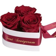 ROSEMARIE SCHULZ Heidelberg Infinity Rose Box Heart - 3 īstas tumši sarkanas rozes saglabātas 3 gadus 10x12cm - Seni Seviyorum hediye dāvanas draudzenes mīlestībai