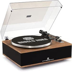 Angles Horn Vinyl Record Player Bluetooth HiFi with Speakers Built-in Phono Preamp 33/45 RPM and AT-3600L Pickup