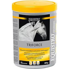 EQUISTRO® Triforce | Ergänzungsfuttermittel für Pferde | Zur Stärkung von Ausdauer, Kondition & Rittigkeit | Schutz der Muskulatur vor oksidacinis stresas | 600g