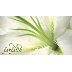 Farfalla Butterfly: Aloe Vera Gel Classic: Butterfly: Izmērs: Aloe Vera Classic 150 ml (150 ml)