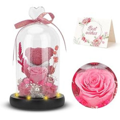 ASANMU Mūžīgais rožu lācis stiklā, lācis no rozēm, dāvanas sievietēm, mūžīgā roze stiklā ar LED gaismu un pamatni, mūžīgas rozes dāvanas, rožu lācis, Ziemassvētku dāvanas draudzenei, mammai, vecmāmiņai