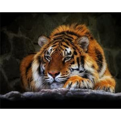 Meecaa glezna pēc skaitļiem Sleeping Tiger Animal pieaugušajiem, iesācējiem, DIY eļļas glezna 16x20 collas (tīģeris, ierāmēts)