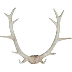 Hansmeier® Rustic Antlers | Balts | Iekštelpām, āram, balkoniem un dārzam | 54 x 40 x 14 cm | Dekoratīvie briežu ragi | Sienu dekorēšana