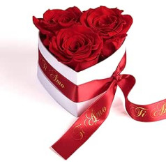 ROSEMARIE SCHULZ Heidelberg Infinity Rose Box Heart - 10 x 12 cm 3 Preserved Roses Durable 3 Years Women - Best Friend Gifts (Ti Amo, Red)