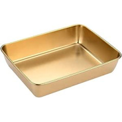 ARMYJY Stainless Steel Tray, Grill Plate, Snack Plate, Hot Pot Dish Dumpling Plate for Snacks, Rice Salad, Fruit, Camping, Picnics (25 x 20 x 5.5 cm)