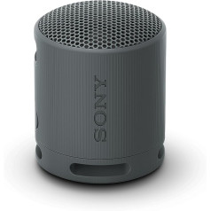 Sony SRS-XB100 Wireless Bluetooth Speaker Portable Lightweight Compact Outdoor Travel Speaker Durable IP67 Waterproof and Dustproof 16 Hour Battery Carry Strap Hands-Free Calling Black