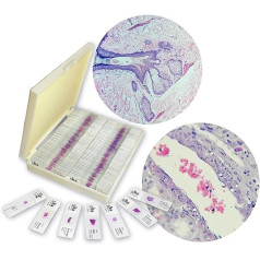 100 Pieces Normal Slides Human Tissue Medical Science Histology Prepared Slides Laboratory Slides