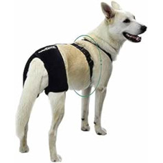 Ortocanis - Hip support bandage for dogs with hip dysplasia or osteoarthritis, size M