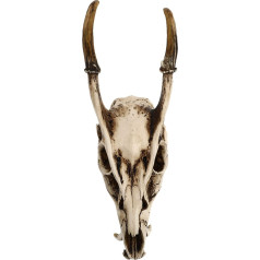 Healifty Artificial Taxidermy Ram Sheep Skull 3D Resin Animal Skull Skeleton Viking Head Sculpture Wall Hanging Art Collectible Decor Halloween Ornament