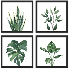 ArtbyHannah Set of 4 Poster Picture Frames, 25 x 25 cm, Black Square Wall Pictures with Wooden Frame, Botanical Art Print Wall Decoration, Poster Frames for Bathroom, Bedroom, Kitchen