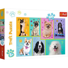 100-piece puzzle in the world of dogs