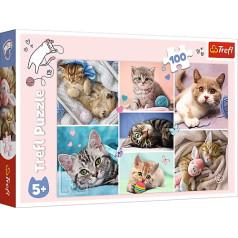 100-piece puzzle in the cat's world