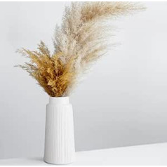 Keramikas vāze balta - ziedu vāze pampas zāles ziediem, dekoratīvā vāze 25 cm augsta, rievotas estētiskās vāzes baltas dekorēšanai Mājas ēdamistaba Dzīvojamā istaba Dzīvoklis