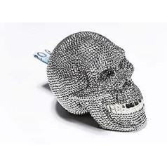 Kare Skull Crystal Money Bank, sudrabs