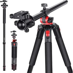 NEEWER 200 cm Tripod for Camera Monopod with Centre Column and Aluminium Ball Head, QR Plate Type Arca, Bag, Camera Mount for Horizontal Tripod, Maximum Load 15 kg