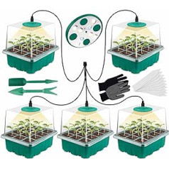 JJYDX Mini Greenhouse Propagation Box: Pack of 5 Greenhouse Propagation Tray with Lid and Ventilation for Plants Ideal for Seed Germination and Plant Growth