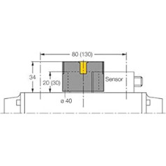 6900155 - BTS-DS20-TP1, Montagezubehör