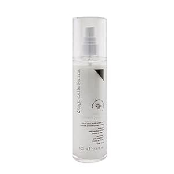 Diego Dalla Palma Oh My Bodyguard Liquid Silver Multi Active Mist Fixing Spray 100ml