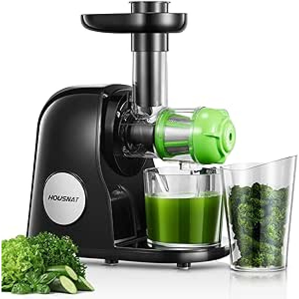 HOUSNAT Slow Juicer, Juicer Vegetable and Fruit, Professional Juicer with Quiet Motor, Reverse Function, Juice Jug, Cleaning Brush, 2 Filter Elements (Black)