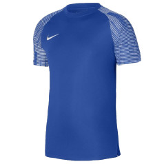 Nike Dri-FIT Academy T-krekls DH8031 463