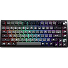 EPOMAKER TH80 SE blīve 75% mehāniskā tastatūra, NKRO Hot Swap RGB trīsrežīmu spēļu tastatūra ar porona/EVA putām, rotācijas vadība E-Sports/Windows/Mac (melns sudrabs, Wisteria lineārais slēdzis)