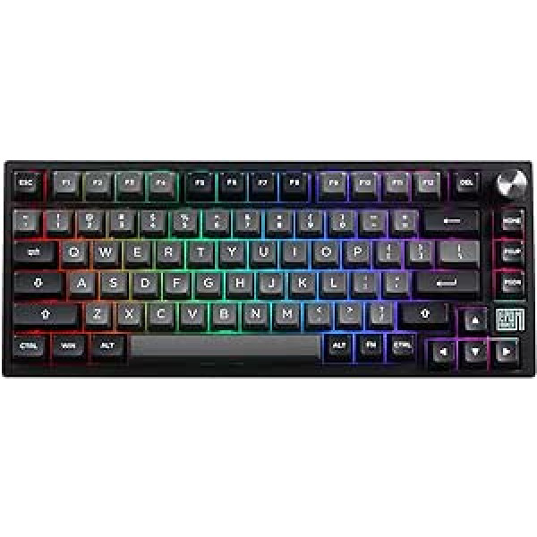 EPOMAKER TH80 SE blīve 75% mehāniskā tastatūra, NKRO Hot Swap RGB trīsrežīmu spēļu tastatūra ar porona/EVA putām, rotācijas vadība E-Sports/Windows/Mac (melns sudrabs, Wisteria lineārais slēdzis)