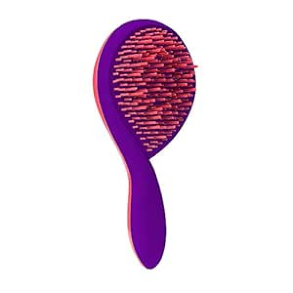 Michel Mercier Hairbrush/Detangling Brush for Normal Hair - Pink Handle/Orange/Green Bristles