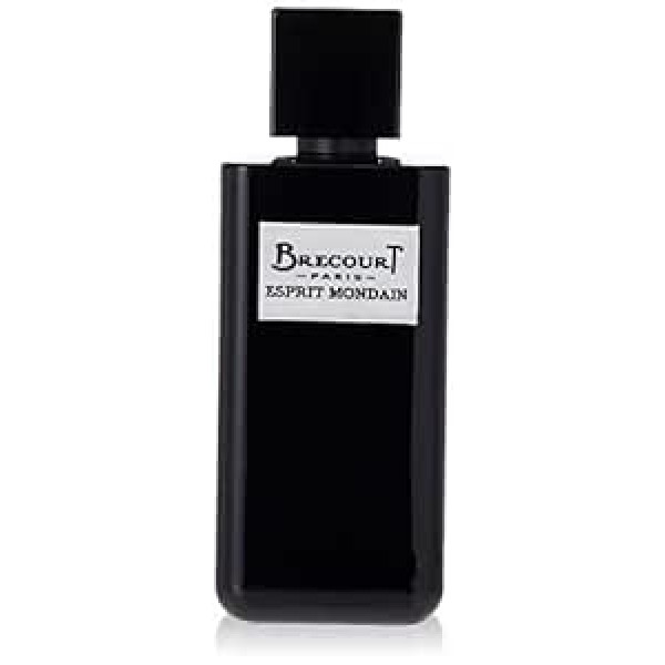 Brecourt Esprit Mondain homme/vīriešiem, parfumūdens, iztvaicētājs/izsmidzinātājs, 100 ml, 1. iepakojums (1 x 408 g)