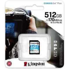 Kingston Canvas Go Plus SDXC 512GB Memory card