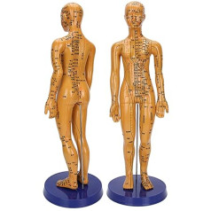 Acupuncture Model of Human Body Female Male Copper Colour Meridian Acupuncture Point Model for Chinese Medicine Teaching Acupuncture Massage Lettering Craft (Female Model)