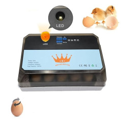 Jauna dizaina mini olu inkubācijas 15 olu inkubatora automātiskās temperatūras kontroles inkubators cāļiem, pīlēm, putniem (zils)