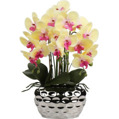Dirbtinis augalas Orchidėjos Dirbtinės gėlės Dirbtinės gėlės kaip tikros su tikru prisilietimu Gėlės keramikiniame vazone Stalo apdaila Palangės apdaila Aukštis 44 cm
