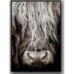 IUNTWEIE Skotijas Highland Cow Kanvas Pictures Print, Ziemeļvalstu Highland Cow Plakāts Sienas Attēli, Modern Highland Cow Dekorācija dzīvojamā istaba, mājas dekori Dekors Dekors bez rāmja (Highland Cow-2, 40 x 60)