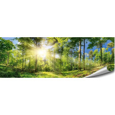 ARTBAY Meža plakāts HD XXL Panorama Art Print 118.8 x 42 cm Saules appludināts burvju meža dabas bildes Premium Quality