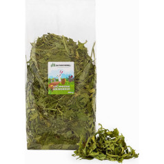 Factoryherbs kiaulpienių lapai xl 300g