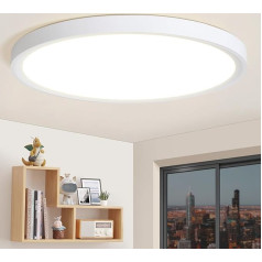 LED griestu gaisma 24 W 2250 LM, Griestu gaisma 4000 K neitrāli balta, Vannas istabas lampa ūdensizturīga IP44, Vannas istabas lampa Modernā plānā gaisma Vannas istabas griestu apaļais apaļais logs Guļamistaba Virtuve Ēdamistaba Balkons Priekšn