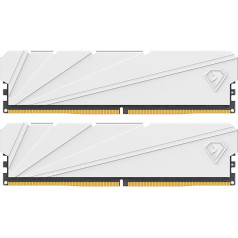 Netac 32GB (2x16GB) DDR4 3200MHz C16 XMP 2.0 augstas veiktspējas galddatora darbstaciju komplekts, violets (weiß)