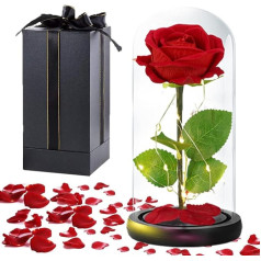 Weiope Die Schöne und das Biest Ewige Rose,Galaxy Rose Blume Geschenk für Mama,Rose in Einer Glaskuppel mit LED Licht Geschenk für Frauen am Weihnachten Valentinstag Muttertag Jahrestag und Geburtstag