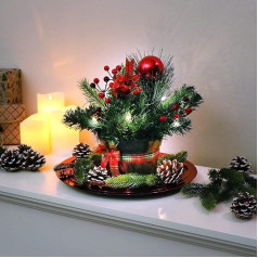 com-four® Christmas Arrangement with LED in Flower Pot - Cones, Branches and Berries in Decorative Flower Pot - 10 Warm White LEDs with Timer as Table Decoration (1 Piece - 25 cm - LED - Red)