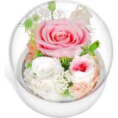 zoeyzoey Ewige Rose Geschenke für Mama,Muttertagsgeschenk Geschenke für Mama,Infinity Rosen Glas mit Echte Rosen,Muttertag Blumen,Geburtstagsgeschenk für Frauen,Geschenk Oma,Jahrestag